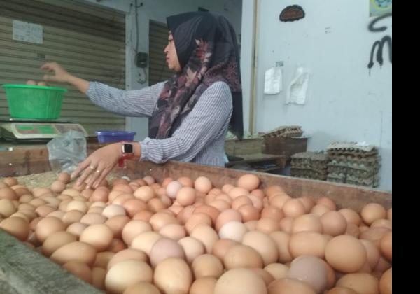 Harga Telur Ayam Hari Ini Mulai Turun 