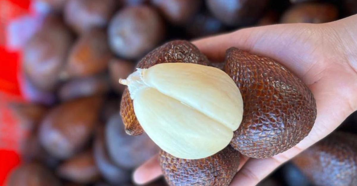 Manfaat Serta Kandungan Buah Salak Untuk Kesehatan Tubuh Yang Perlu Diketahui, Simak Yuk !