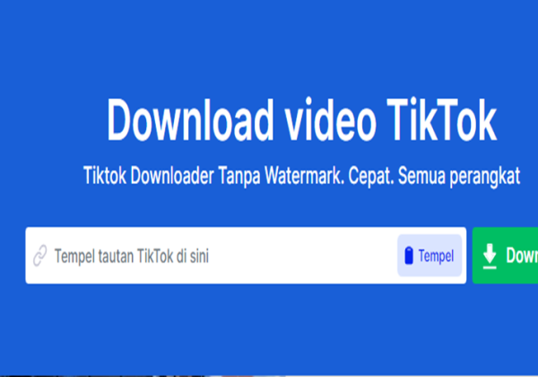 Download Video TikTok Tanpa Watermark Menggunakan SnapTik, Klik Disini Untuk Tau Caranya!