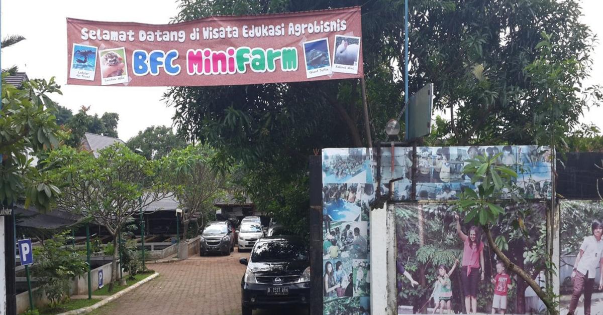 Wisata Edukasi Bintaro Fish Center Mini Farm : Tempat Menyenangkan untuk Belajar dan Berinteraksi dengan Hewan