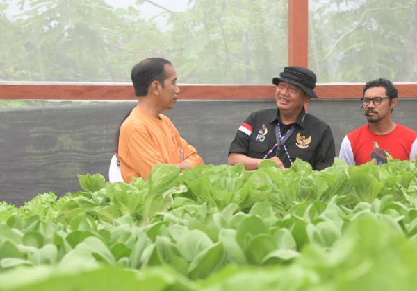 Di Papua, Presiden RI Kunjungi Desa Berdaya Taman Inspirasi Waibu, Binaan PLN