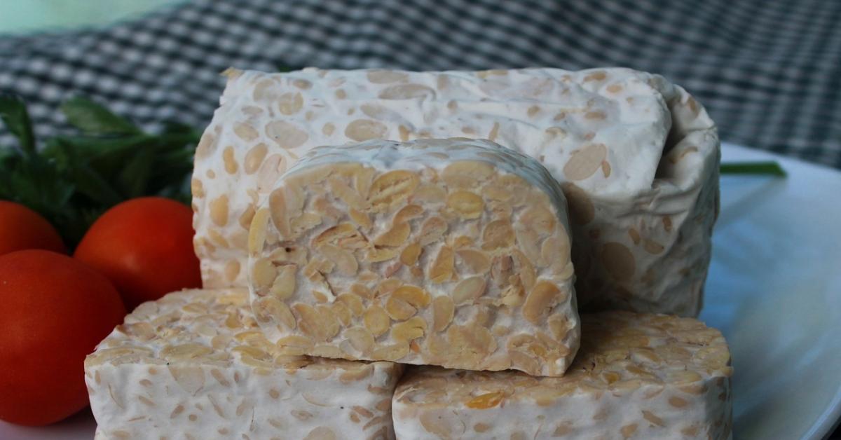 Mengulik Manfaat Tempe Bagi Kesehatan Serta Kandungan Gizi