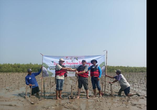 PGN Saka Melakukan Penanaman 12.000 Mangrove dalam Mendukung Program Carbon Offset