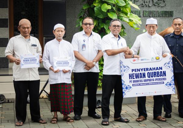 Sambut Idul Adha, Brantas Abipraya Salurkan Hewan Qurban