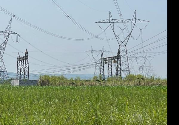 PLN Rampungkan Transmisi Listrik 150 kV Jatigedong-Ngimbang di Lamongan, TDKN Capai 73,88 Persen