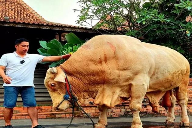 Rahasia Irfan Hakim Tetap Bersinar: Mengharamkan Kata 