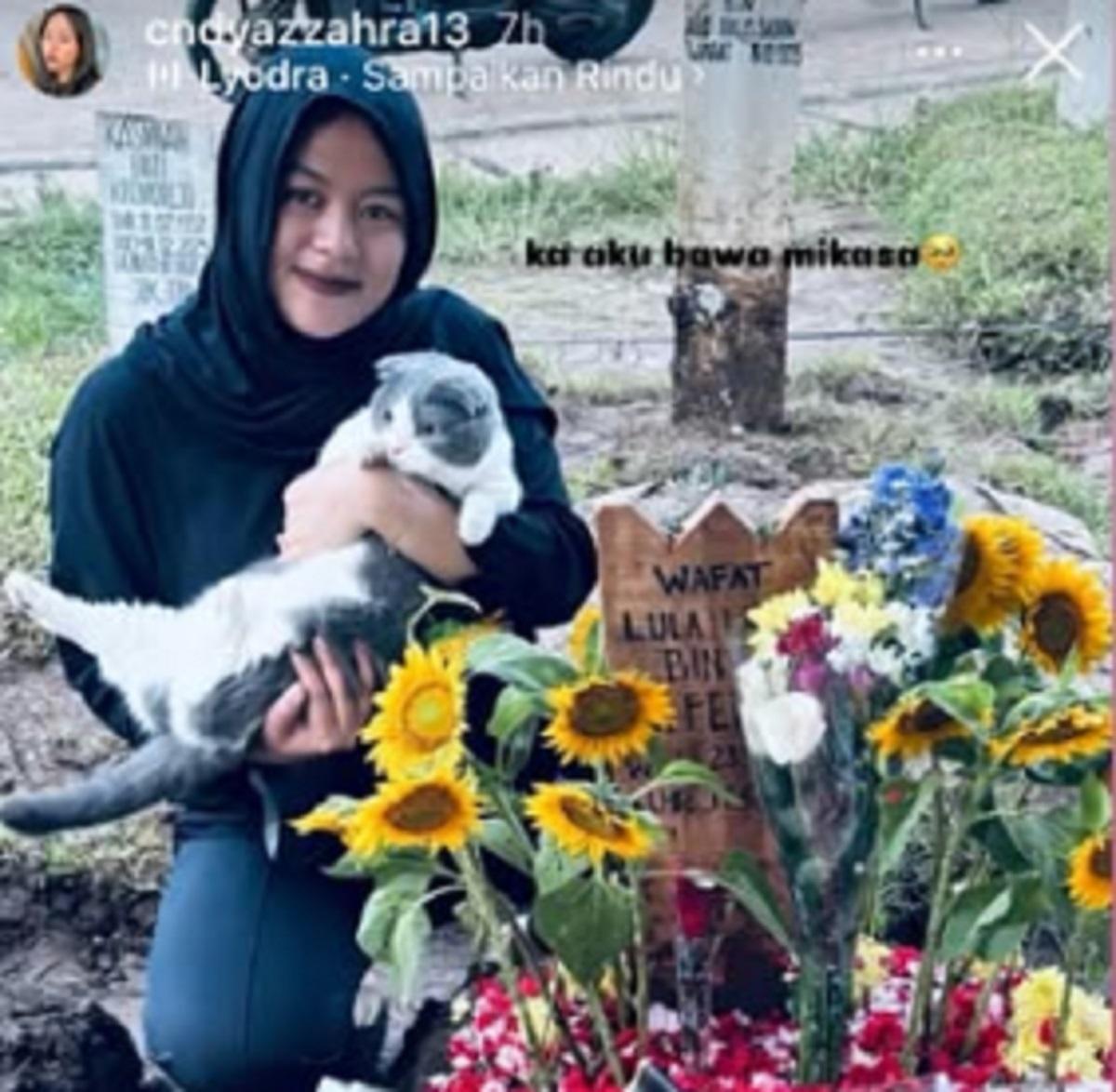 Hati Teriris! Mikasa Kucing Kesayangan Lula Lahfah Akhirnya Datangi Makam, Begini Nasibnya Sekarang