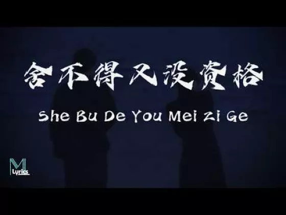 Bukan Cuma Melodi Indah! Ternyata Makna Lirik 'She Bu De You Mei Zi Ge' Ini yang Bikin Netizen Gak Bisa Move On