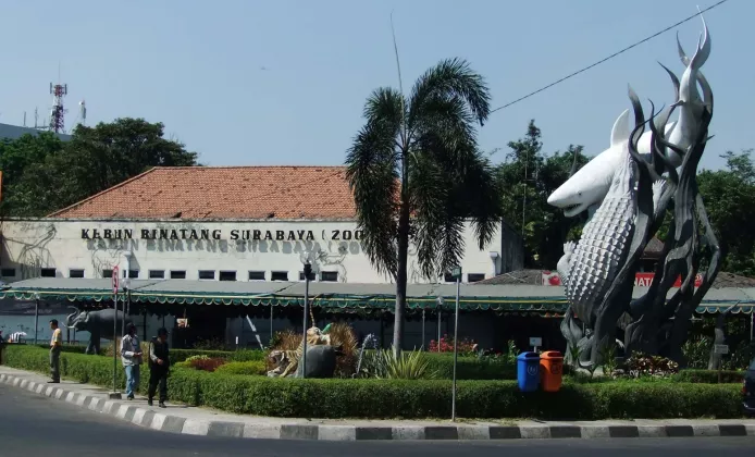 SIAP-SIAP! Nama Tersangka Korupsi Kebun Binatang Surabaya Rp7,4 Miliar Diumumkan Minggu Depan, Siapa BAKAL MASUK PENJARA?