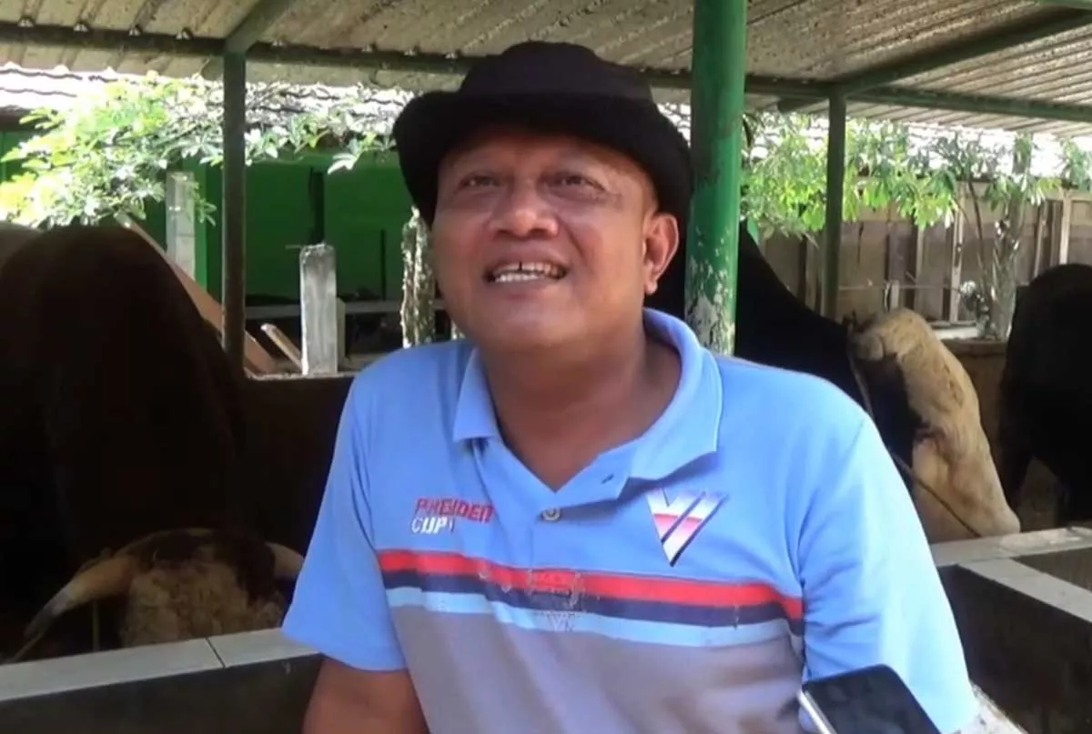 Kisah Penjual Ubi di Bantul, Sapinya Dipilih Presiden Prabowo Jadi Hewan Kurban Utama 2026