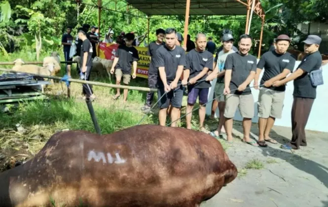 Sapi Kurban 1,1 Ton Inisial TIW Muncul di Masjid Dekat Rumah Amien Rais, Pengirim Masih MISTERIUS