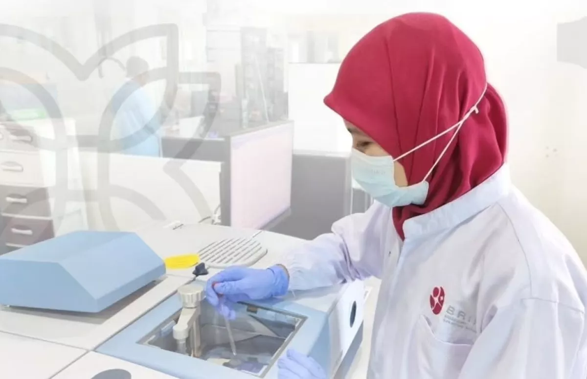 WASPADA Oplosan Minyak Babi! BRIN Gunakan AI untuk Deteksi Minyak Zaitun Palsu