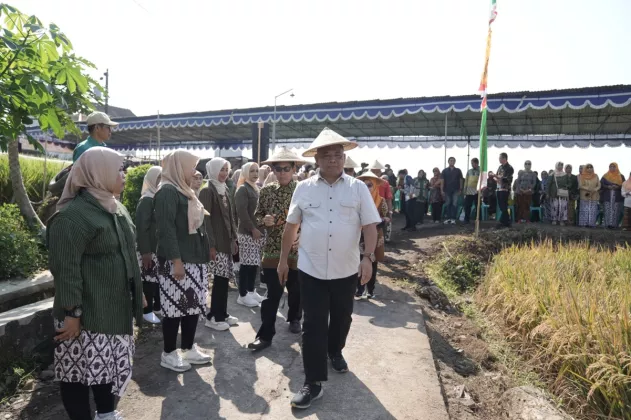 Menyelami Makna Tradisi Wiwitan di Sleman, Simbol Syukur dan Ketahanan Pangan Petani