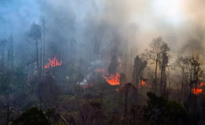 Awal Kemarau Karhutla di DIY Nihil, BPBD Tetap Perketat Patroli Hadapi Ancaman El Nino