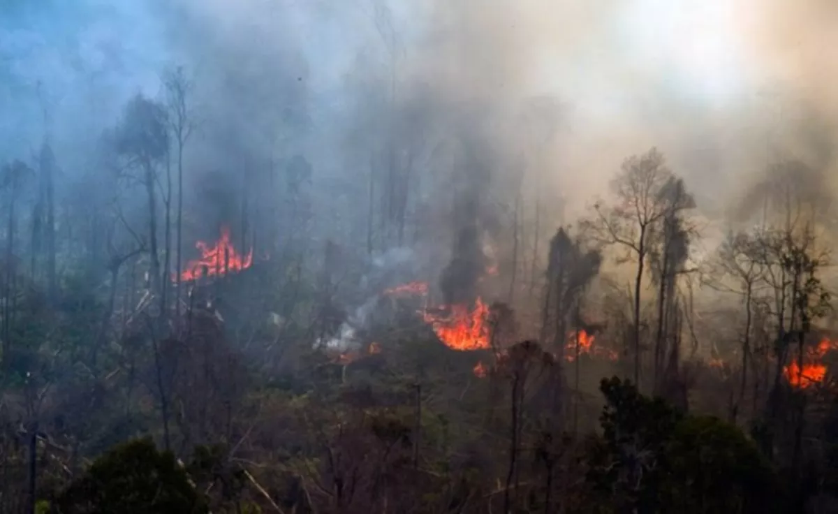 Awal Kemarau Karhutla di DIY Nihil, BPBD Tetap Perketat Patroli Hadapi Ancaman El Nino