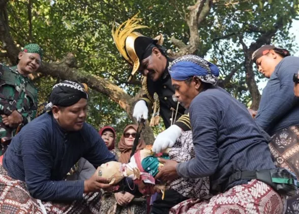 Berebut Berkah Tradisi, Ribuan Orang Padati Upacara Adat Saparan Bekakak di Gamping