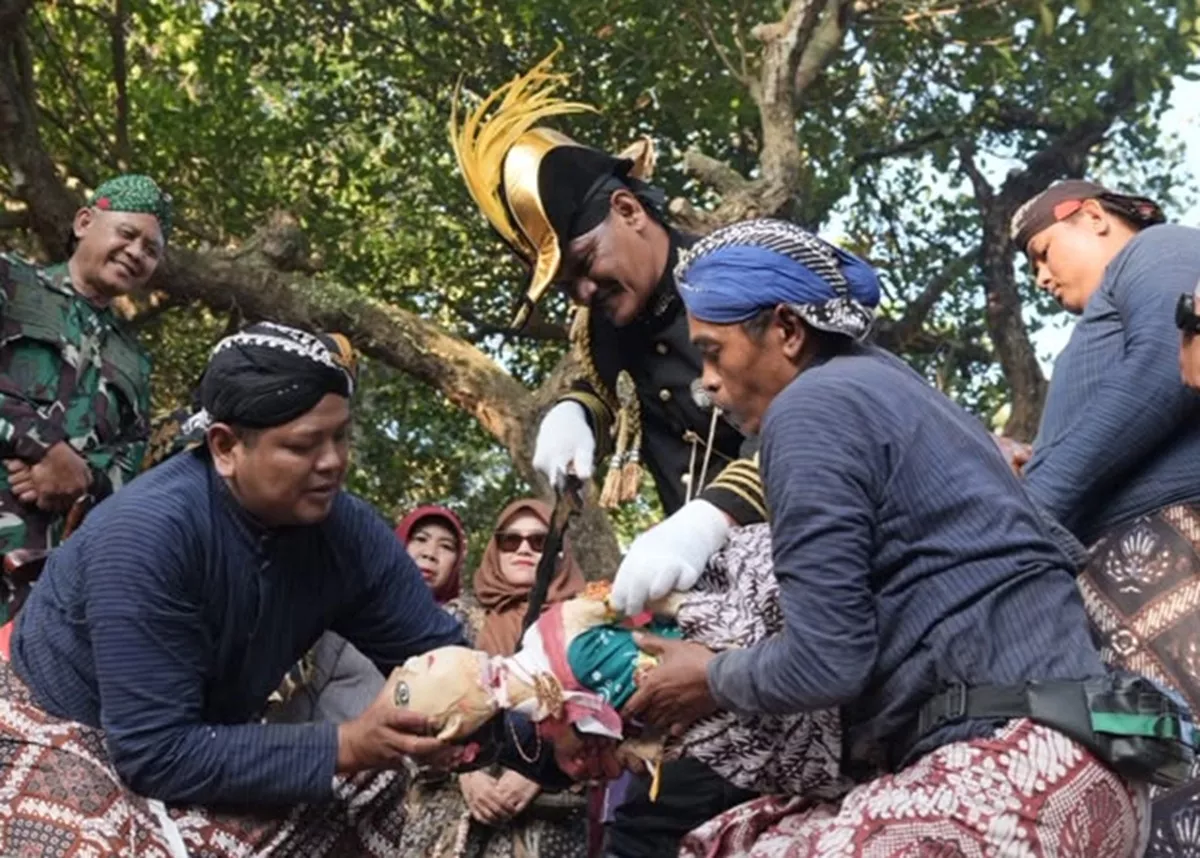 Berebut Berkah Tradisi, Ribuan Orang Padati Upacara Adat Saparan Bekakak di Gamping