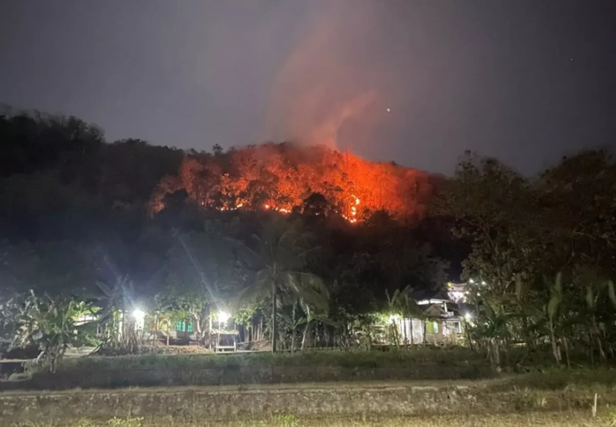 Mobil Damkar Tak Bisa Masuk, Petugas dan Warga Padamkan Kebakaran Hutan Imogiri dengan Alat Seadanya