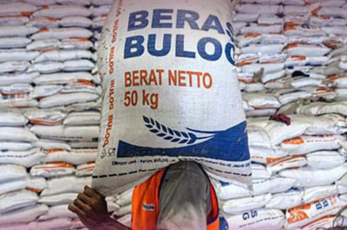 Kado Kemerdekaan RI: Bansos Beras 30 Kg Cair Serentak Mulai 17 Agustus 2026