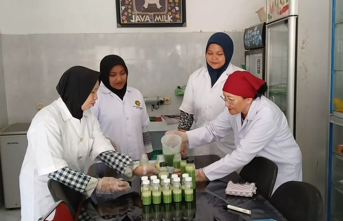 Unik! Peneliti UWM Olah Seledri Jadi Yogurt Kaya Antioksidan dan Probiotik