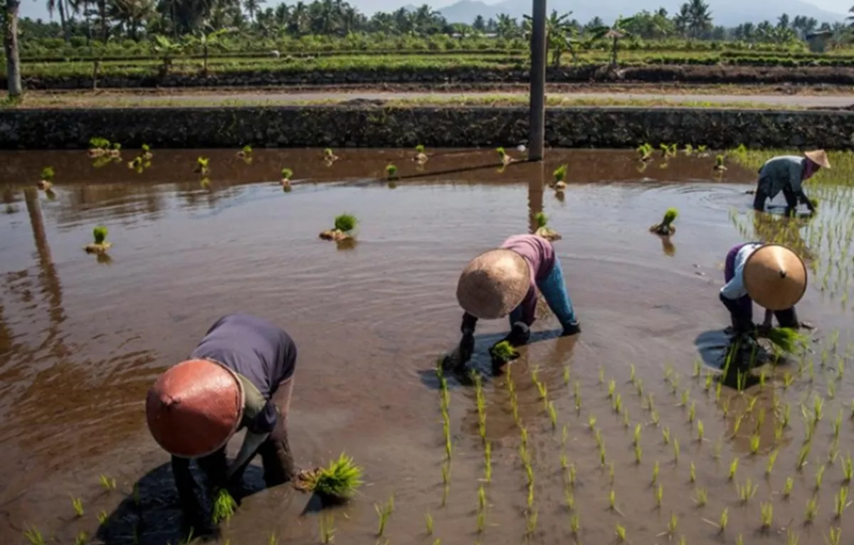 Jurang Kemiskinan Desa dan Kota Di DIY Masih Jadi Tantangan