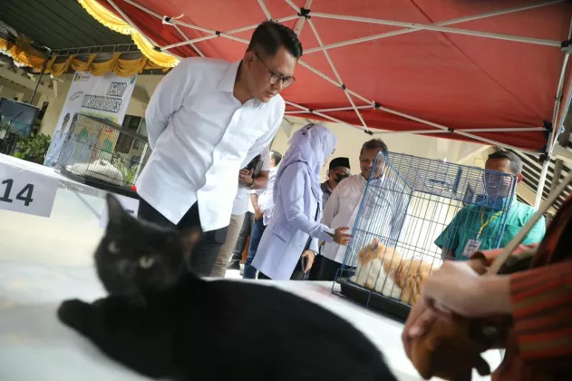 DIY Bebas Rabies, Mobilitas Hewan dari Luar Daerah Harus Dipantau