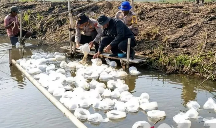 MANTAP! Polda Metro Jaya Sebar 165 Ribu Benih Ikan dan Udang di Bekasi