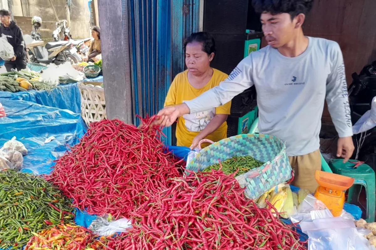 Harga Pangan Nasional Menggila Hari Ini: Cabai Rawit Merah Tembus Rp75.700, Borong Sekarang Sebelum Naik Lagi!
