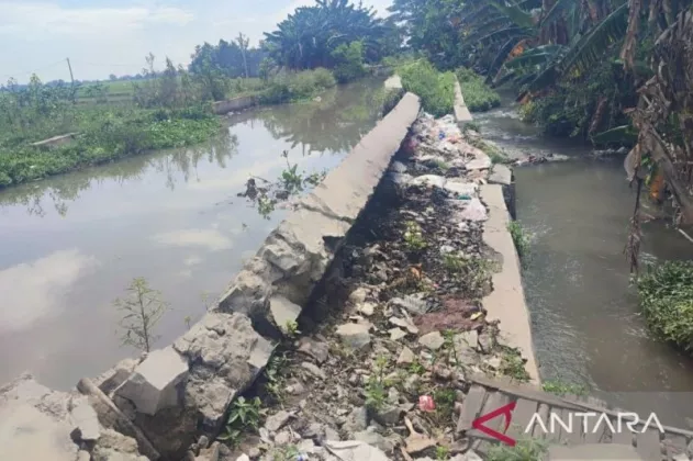 Saluran Irigasi Karawang Rusak Parah! Petani Terancam Gagal Panen Masif Musim Ini