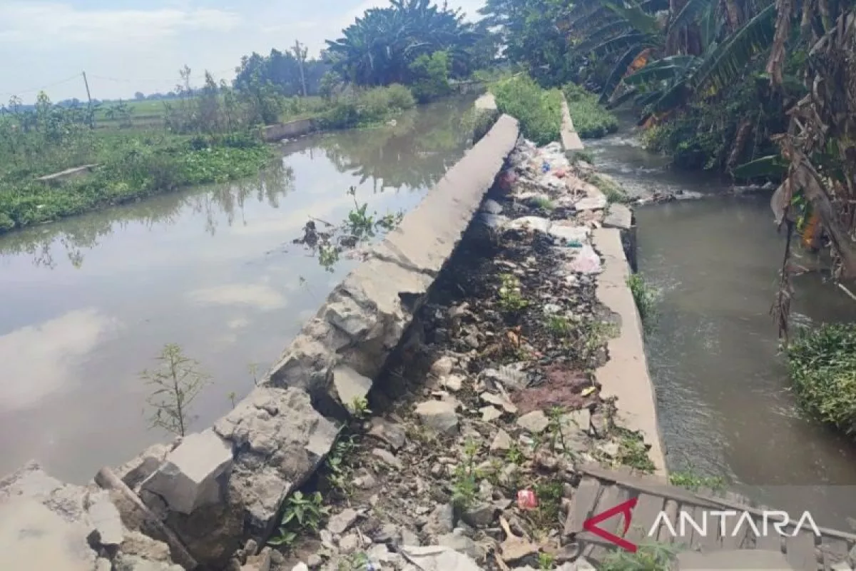 Saluran Irigasi Karawang Rusak Parah! Petani Terancam Gagal Panen Masif Musim Ini