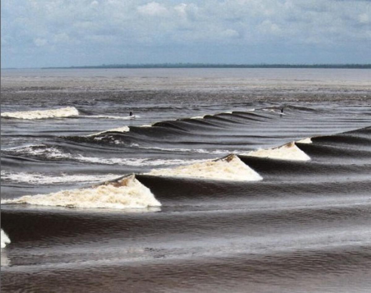 Waspada! Tsunami Terdeteksi di Halmahera Barat dan Bitung Usai Gempa M7,6 di Sulawesi Utara, BMKG Keluarkan Peringatan Dini