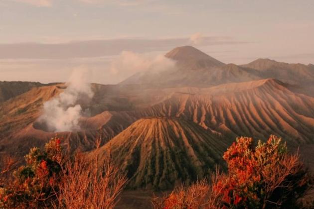 Larangan Terbangkan Drone di Bromo Dikaitkan dengan Temuan Ladang Ganja, Kepala TNBTS Buka Suara