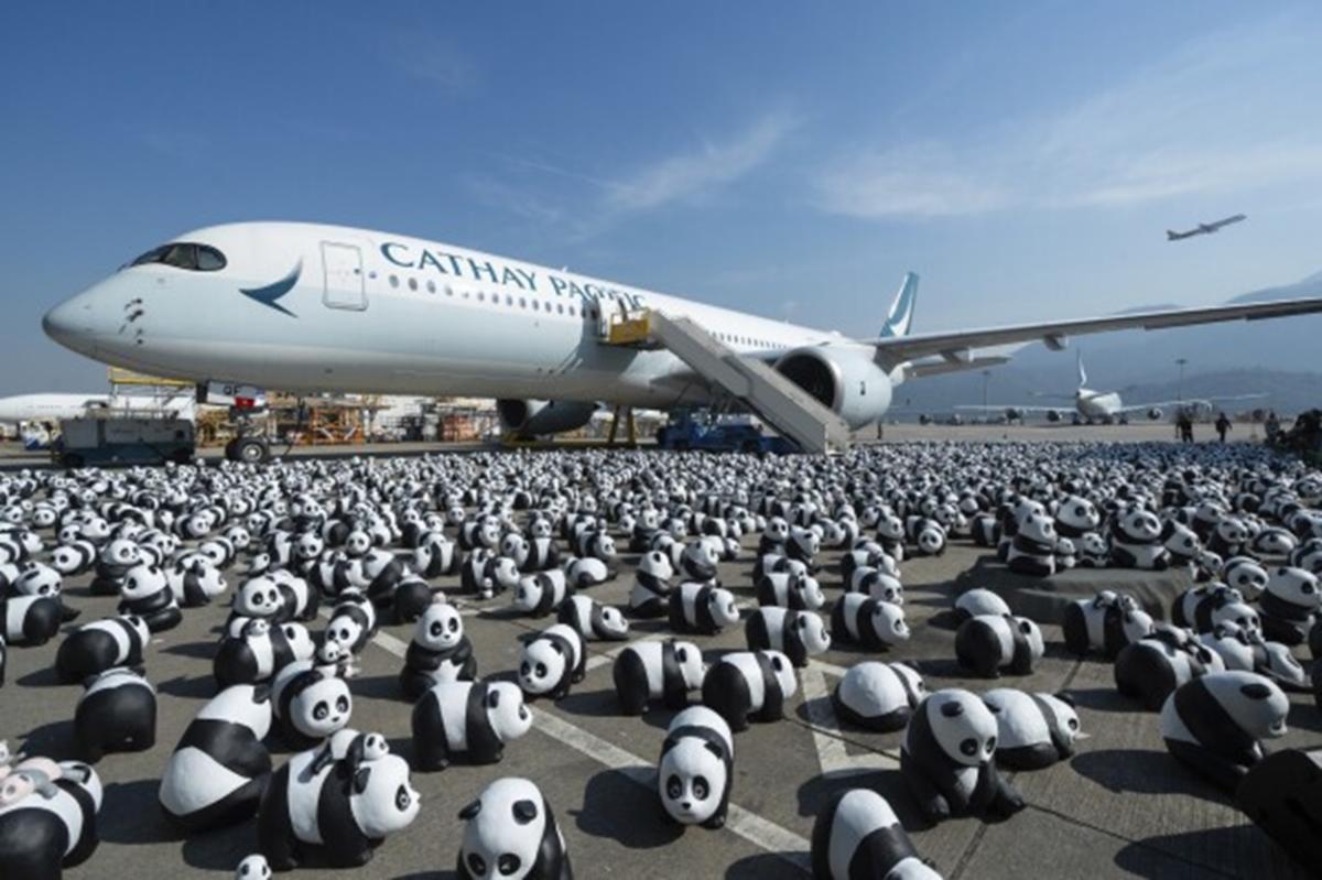 Ingin Kembali Jadi Negara Tujuan Wisata di Asia, Hong Kong Gelar Pameran Ribuan Patung Panda