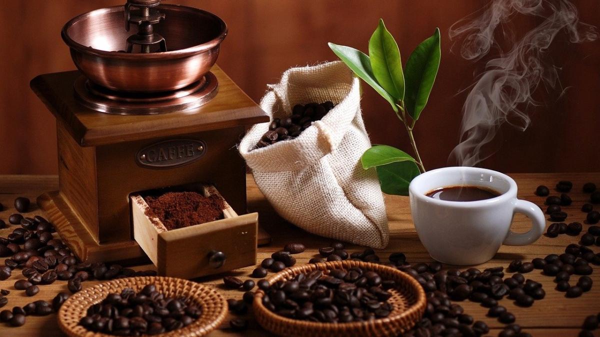 Filosofi Kopi Kintamani: Secangkir Cinta dari Pulau Dewata dengan Aftertaste yang Tahan Lama