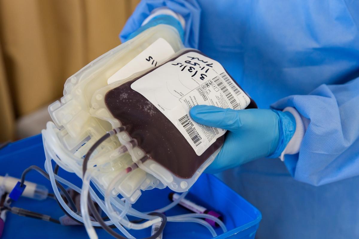 Kenali 7 Manfaat Donor Darah untuk Kesehatan Tubuh, Salah Satunya Mampu Kurangi Risiko Kanker 