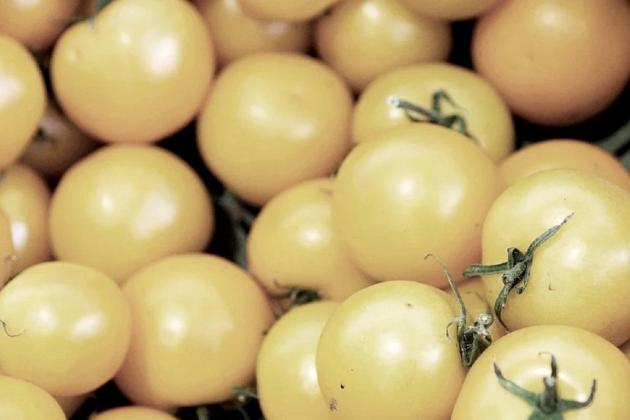 White Tomato dalam Skincare: Manfaat Luar Biasa untuk Kulit Sehat dan Cerah