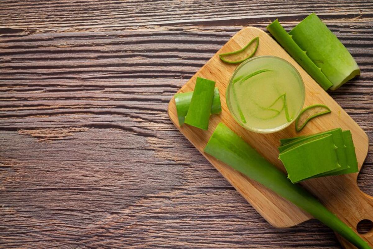 5 Manfaat Lidah Buaya dan Cara Pemakaiannya yang Benar, Rahasia Wajah Glowing Alami 