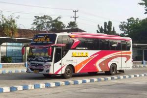 Melihat Tampilan Bus Eka Mira Prima Sentosa dan Sugeng Rahayu Group 060346