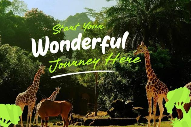 Harga Tiket Taman Safari Bogor, Tersedia Paket Istana Panda dan Wisata Malam