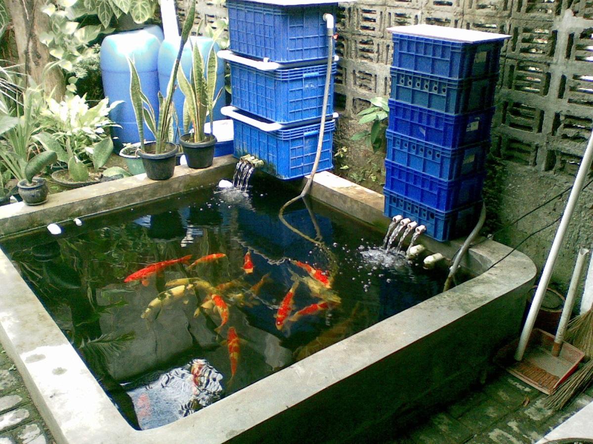 10 Cara Membuat Kolam Ikan Sendiri di Halaman Rumah yang Sehat dan Indah
