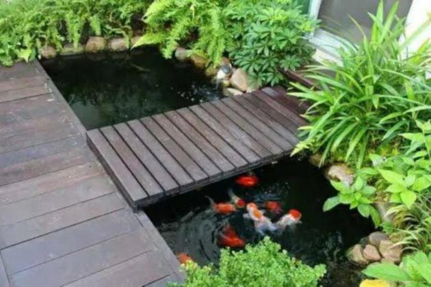 3 Rekomendasi Kolam Ikan Minimalis yang Cocok untuk Memperindah Rumah Anda