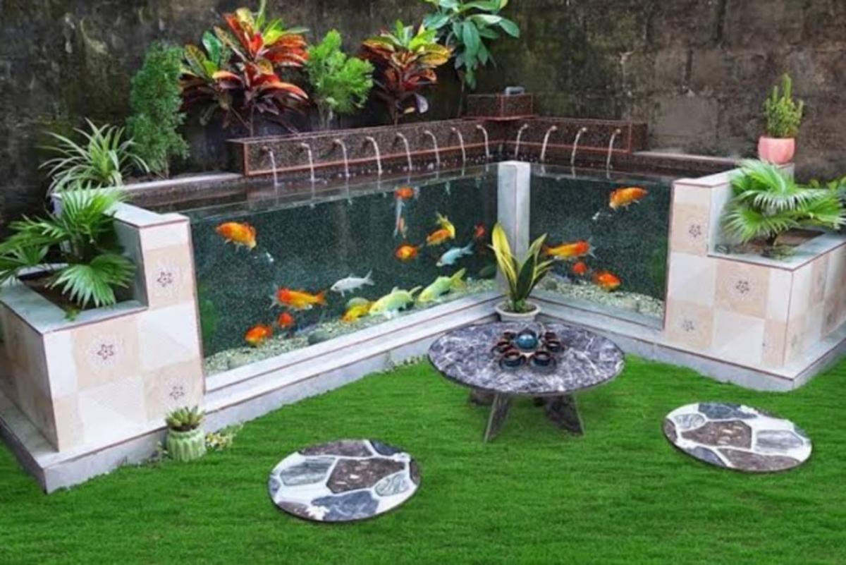 3 Rekomendasi Kolam Ikan Minimalis yang Cocok untuk Memperindah Rumah Anda