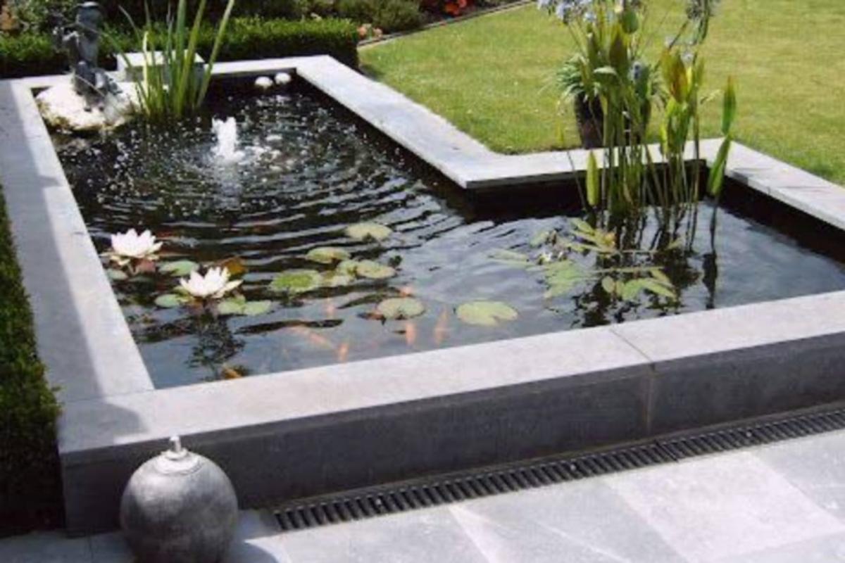 3 Rekomendasi Kolam Ikan Minimalis yang Cocok untuk Memperindah Rumah Anda