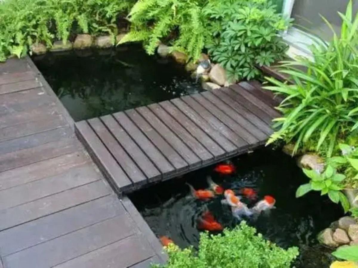 5 Inspirasi Taman Depan Rumah Minimalis Modern yang Elegan dan Asri