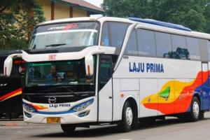 Serupa Tapi Tak Sama, Ini Perbedaan Armada Lebaran 2025 Bus Laju Utama dan Laju Prima  033735