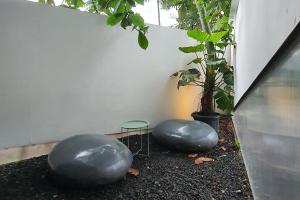 Melihat Tanatap Coffee, Oase Hijau Bergaya Urban di Tengah Riuh Jakarta 110305