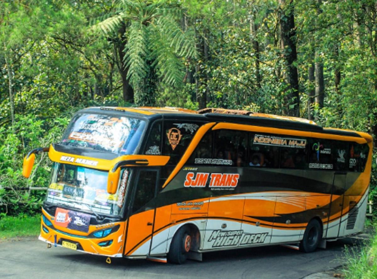 Perbedaan Jetbus 2 dan 3: Mana yang Lebih Unggul untuk Bus Modern?