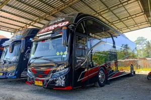 PO Bawang Lanang Punya Bus Evolander SHD Scania K360, Ini Spesifikasinya
