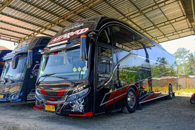 PO Bawang Lanang Punya Bus Evolander SHD Scania K360, Ini Spesifikasinya