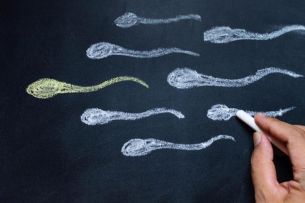 10 Makanan Penyubur Sperma untuk Tingkatkan Kesuburan Pria Secara Alami